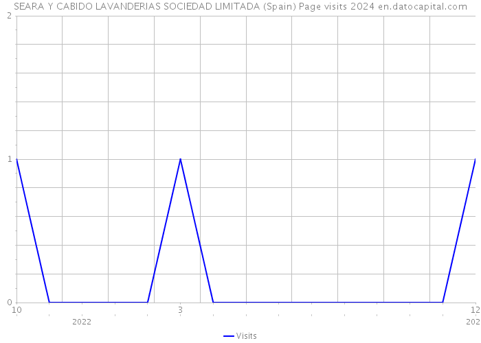 SEARA Y CABIDO LAVANDERIAS SOCIEDAD LIMITADA (Spain) Page visits 2024 