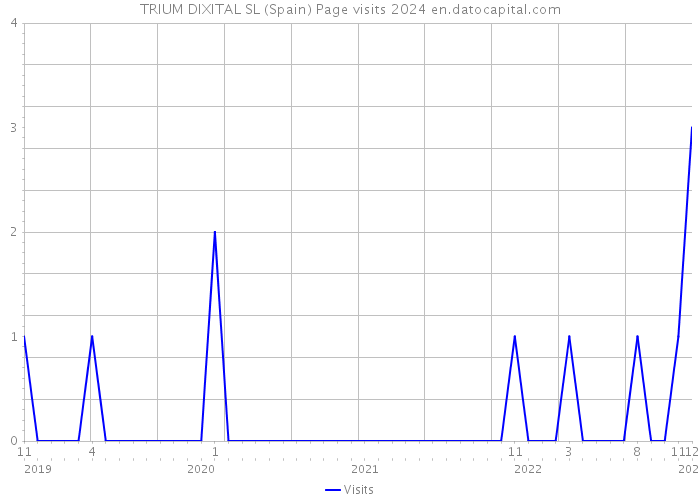 TRIUM DIXITAL SL (Spain) Page visits 2024 