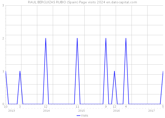 RAUL BERGUIZAS RUBIO (Spain) Page visits 2024 