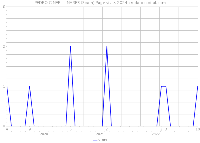 PEDRO GINER LLINARES (Spain) Page visits 2024 