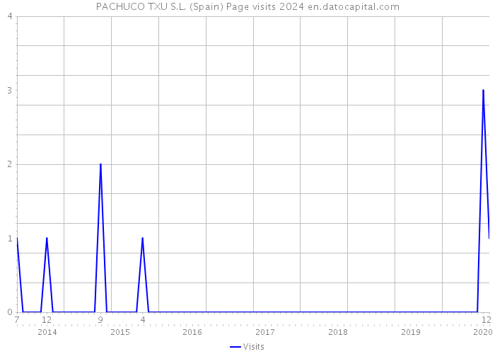 PACHUCO TXU S.L. (Spain) Page visits 2024 