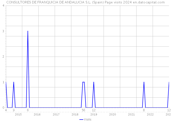 CONSULTORES DE FRANQUICIA DE ANDALUCIA S.L. (Spain) Page visits 2024 