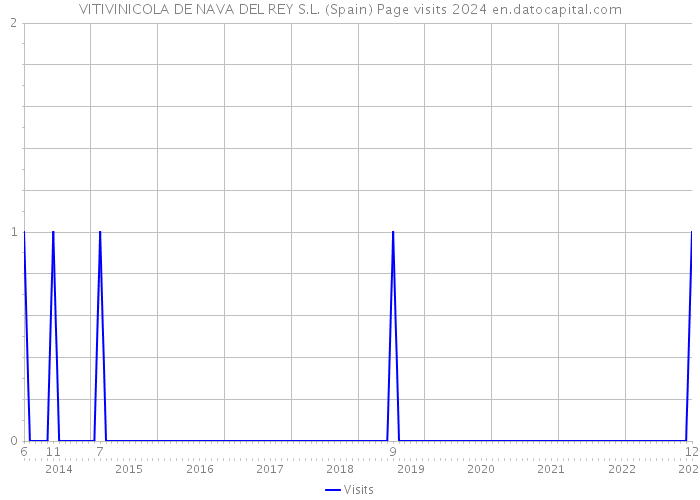 VITIVINICOLA DE NAVA DEL REY S.L. (Spain) Page visits 2024 