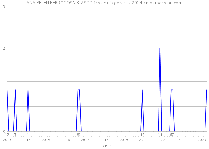 ANA BELEN BERROCOSA BLASCO (Spain) Page visits 2024 