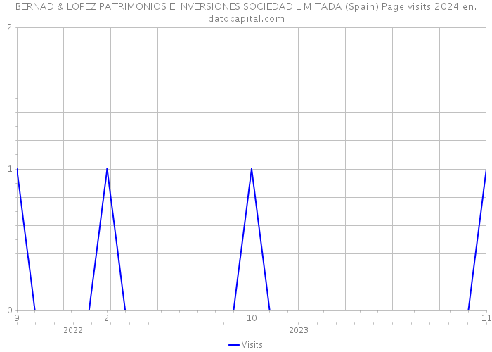 BERNAD & LOPEZ PATRIMONIOS E INVERSIONES SOCIEDAD LIMITADA (Spain) Page visits 2024 