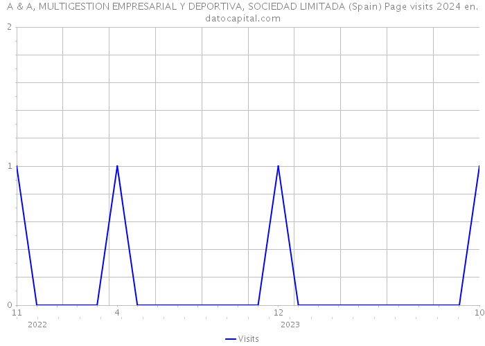 A & A, MULTIGESTION EMPRESARIAL Y DEPORTIVA, SOCIEDAD LIMITADA (Spain) Page visits 2024 