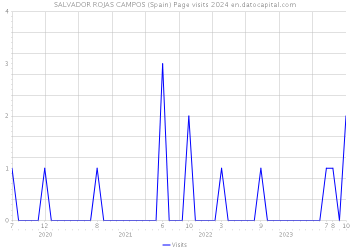 SALVADOR ROJAS CAMPOS (Spain) Page visits 2024 
