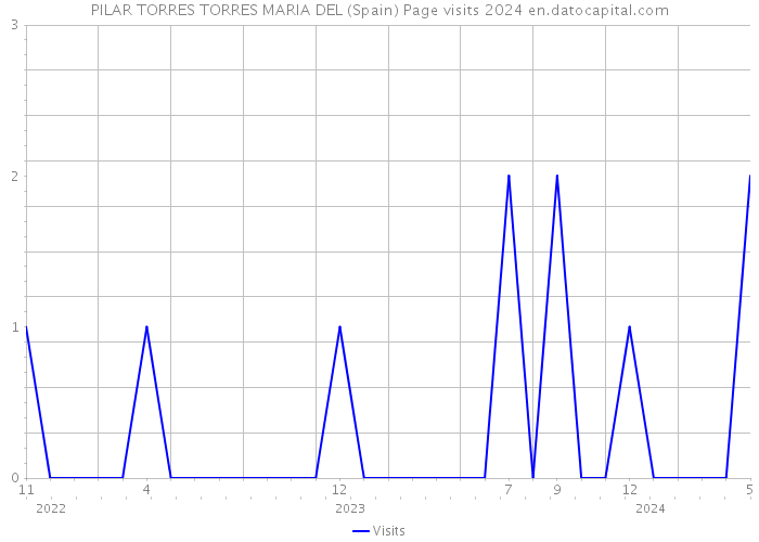 PILAR TORRES TORRES MARIA DEL (Spain) Page visits 2024 