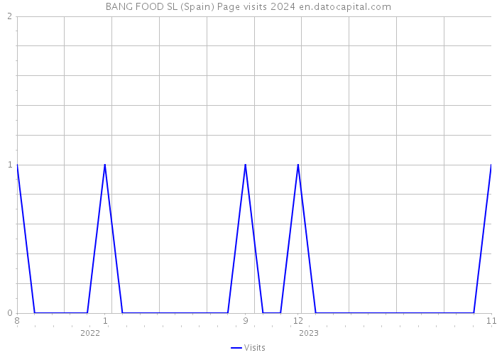 BANG FOOD SL (Spain) Page visits 2024 