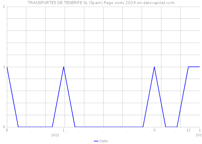 TRANSPORTES DE TENERIFE SL (Spain) Page visits 2024 