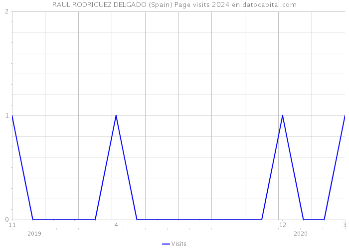 RAUL RODRIGUEZ DELGADO (Spain) Page visits 2024 