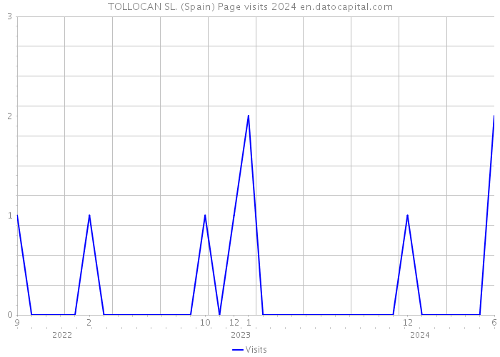 TOLLOCAN SL. (Spain) Page visits 2024 