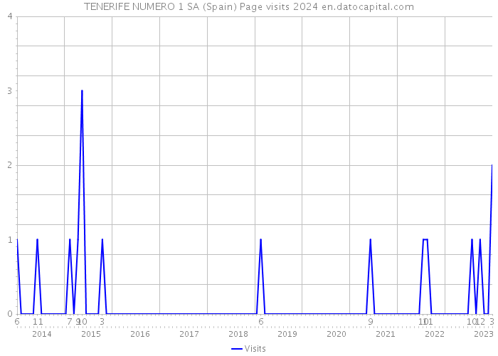 TENERIFE NUMERO 1 SA (Spain) Page visits 2024 