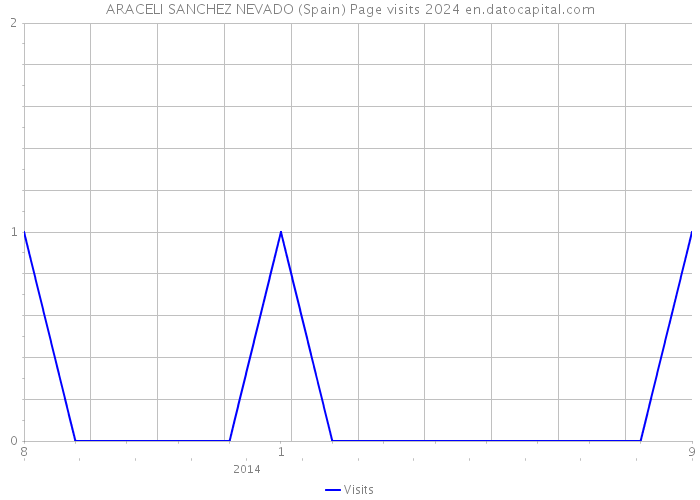 ARACELI SANCHEZ NEVADO (Spain) Page visits 2024 