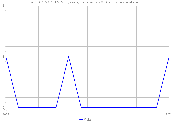 AVILA Y MONTES S.L. (Spain) Page visits 2024 