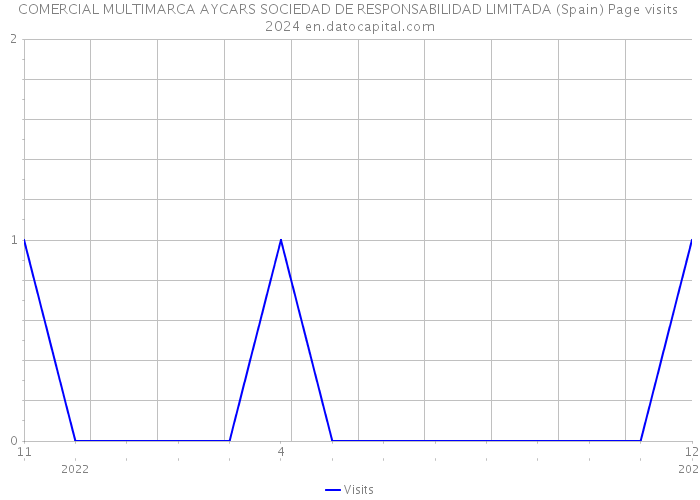 COMERCIAL MULTIMARCA AYCARS SOCIEDAD DE RESPONSABILIDAD LIMITADA (Spain) Page visits 2024 