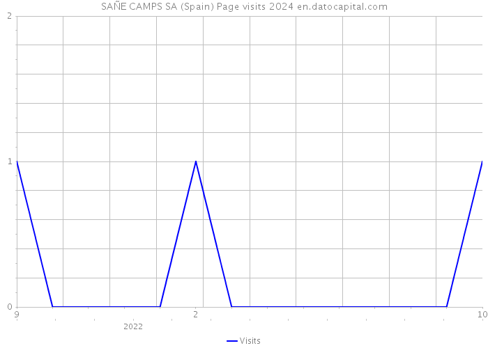 SAÑE CAMPS SA (Spain) Page visits 2024 