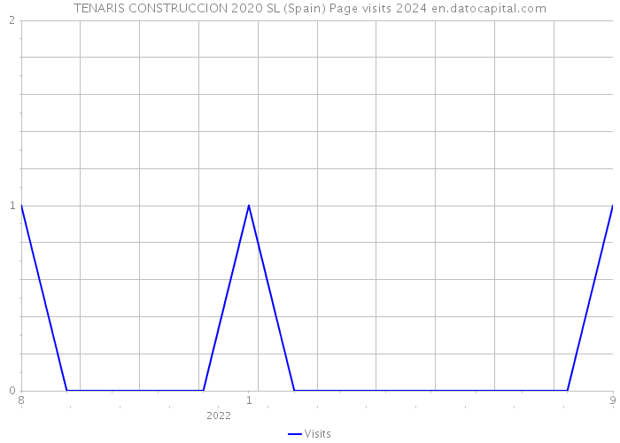 TENARIS CONSTRUCCION 2020 SL (Spain) Page visits 2024 