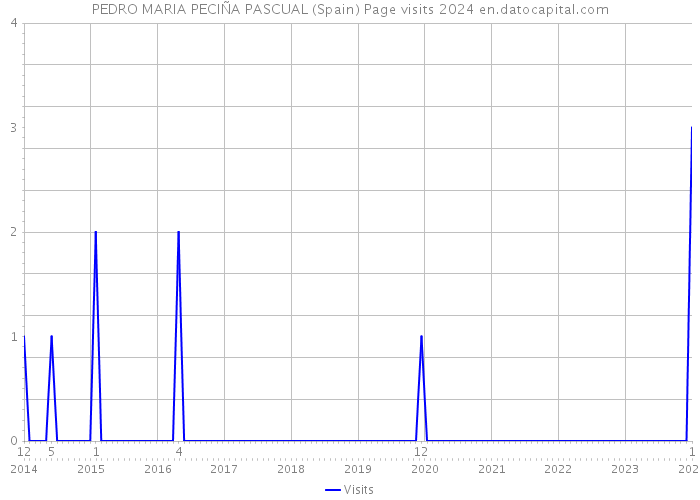 PEDRO MARIA PECIÑA PASCUAL (Spain) Page visits 2024 