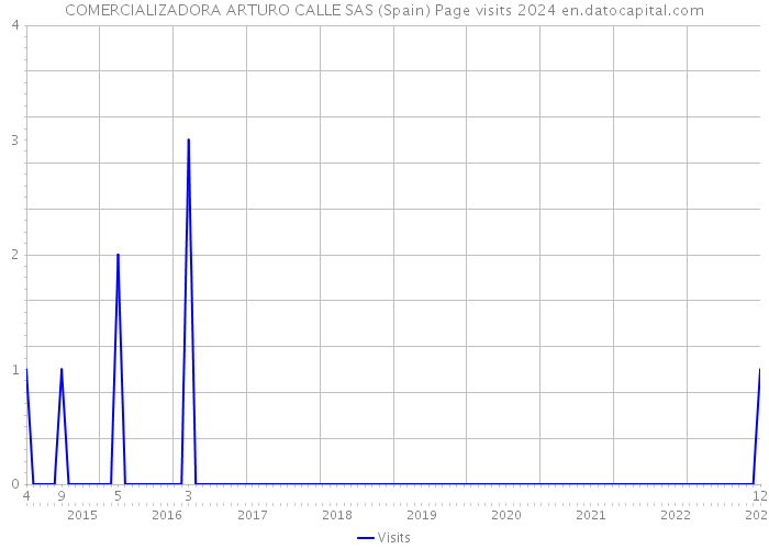 COMERCIALIZADORA ARTURO CALLE SAS (Spain) Page visits 2024 