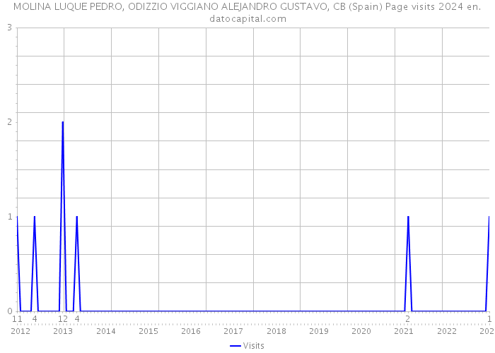 MOLINA LUQUE PEDRO, ODIZZIO VIGGIANO ALEJANDRO GUSTAVO, CB (Spain) Page visits 2024 