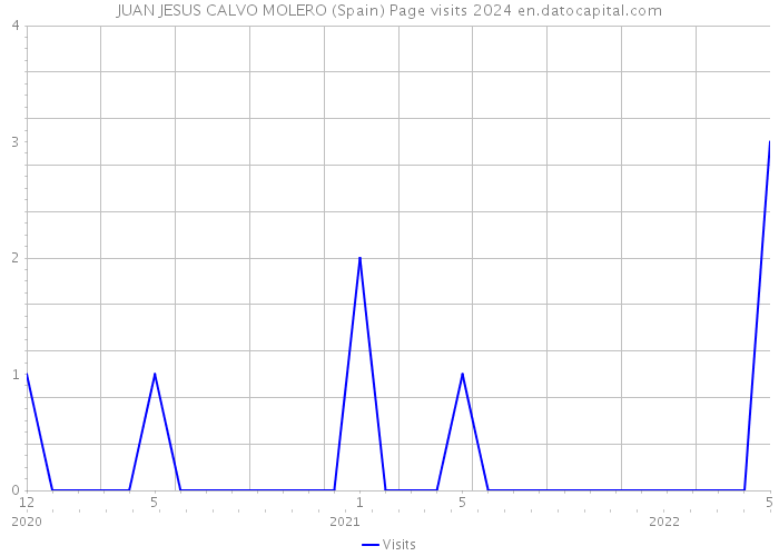 JUAN JESUS CALVO MOLERO (Spain) Page visits 2024 