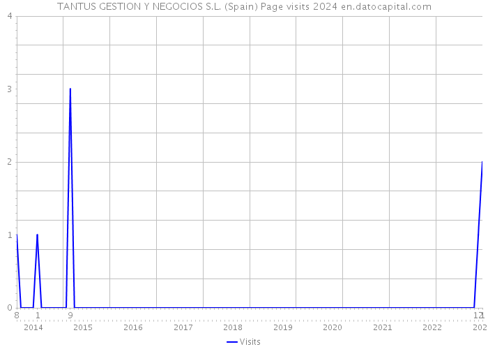 TANTUS GESTION Y NEGOCIOS S.L. (Spain) Page visits 2024 