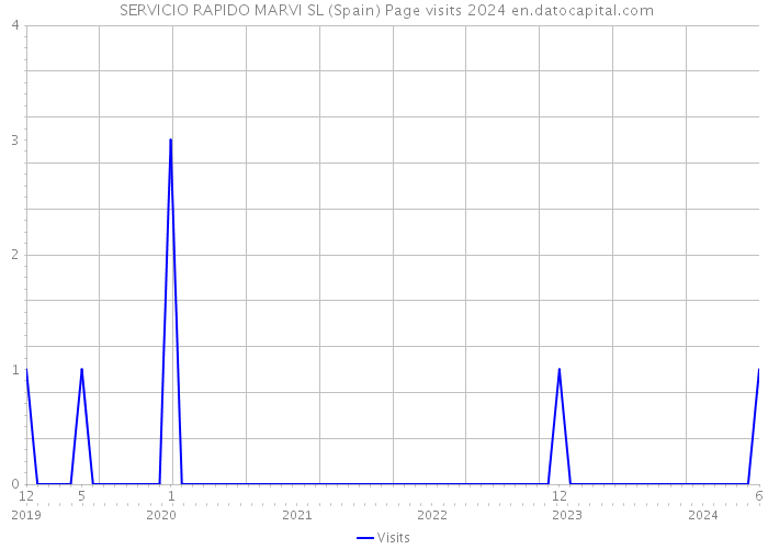  SERVICIO RAPIDO MARVI SL (Spain) Page visits 2024 