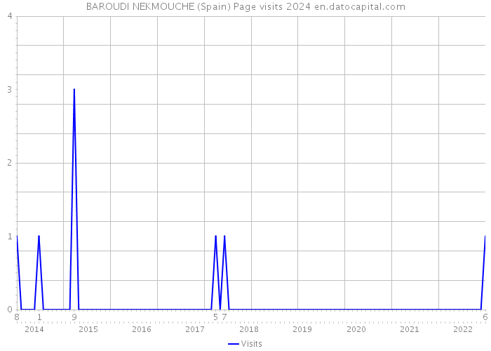 BAROUDI NEKMOUCHE (Spain) Page visits 2024 