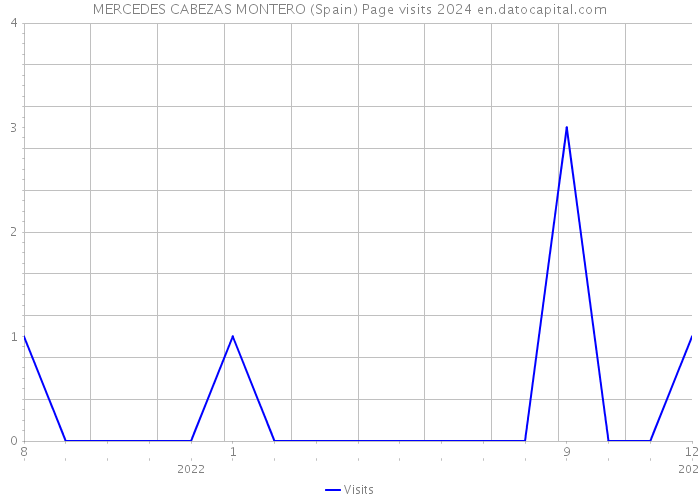 MERCEDES CABEZAS MONTERO (Spain) Page visits 2024 