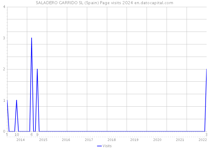 SALADERO GARRIDO SL (Spain) Page visits 2024 