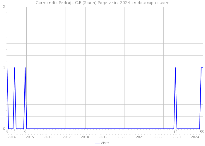 Garmendia Pedraja C.B (Spain) Page visits 2024 