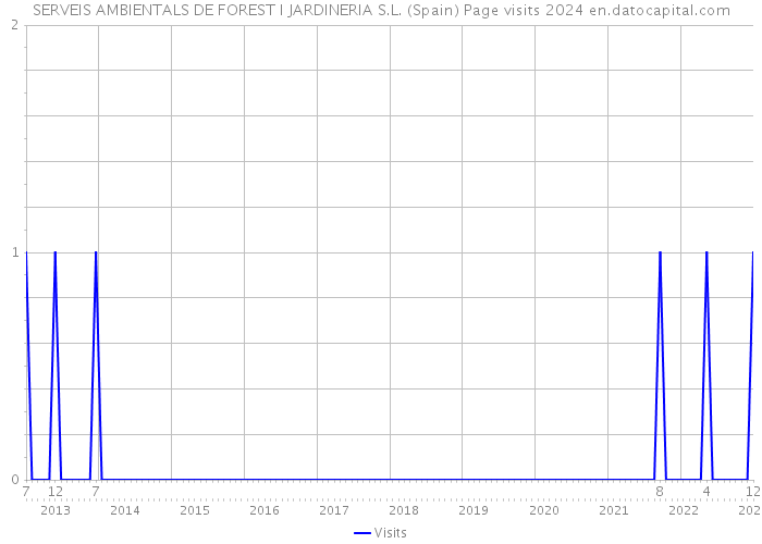 SERVEIS AMBIENTALS DE FOREST I JARDINERIA S.L. (Spain) Page visits 2024 