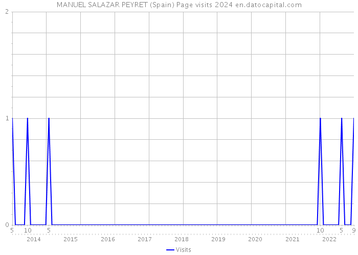MANUEL SALAZAR PEYRET (Spain) Page visits 2024 