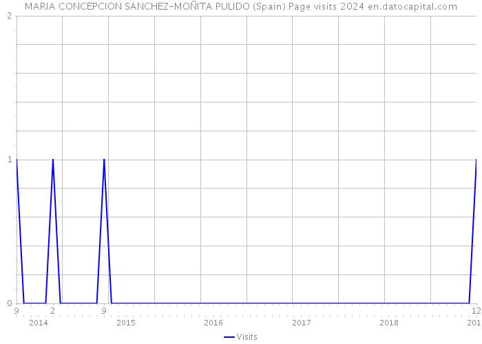 MARIA CONCEPCION SANCHEZ-MOÑITA PULIDO (Spain) Page visits 2024 