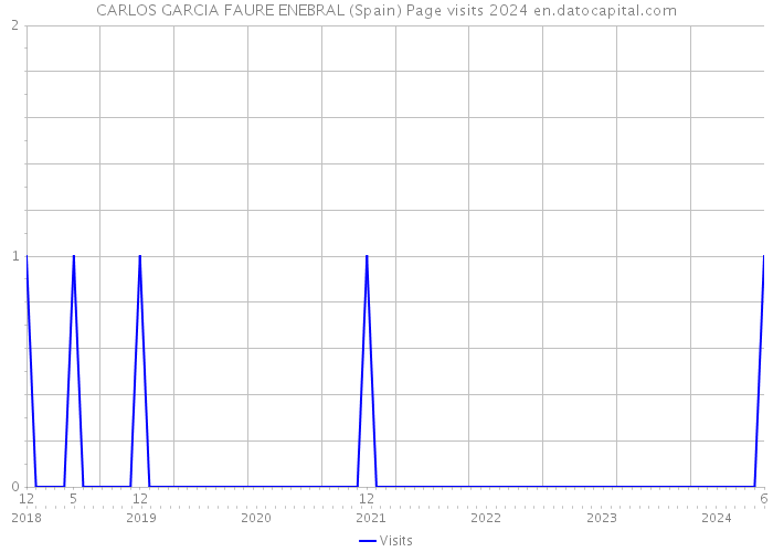 CARLOS GARCIA FAURE ENEBRAL (Spain) Page visits 2024 