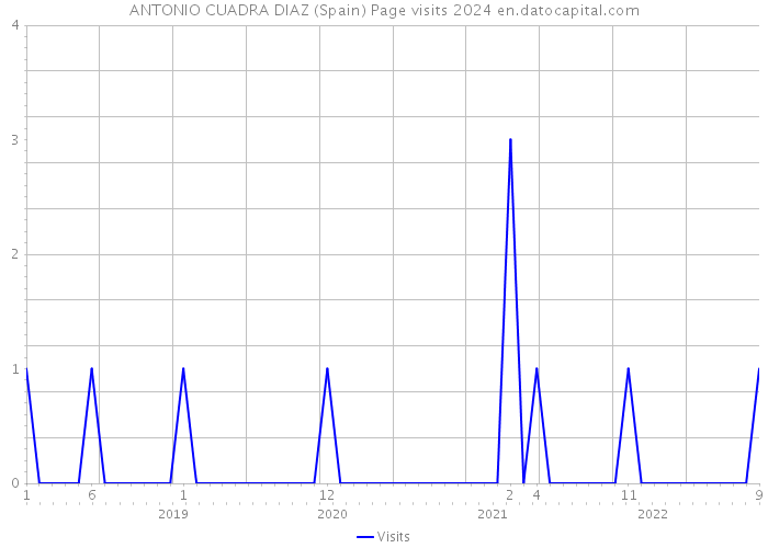 ANTONIO CUADRA DIAZ (Spain) Page visits 2024 