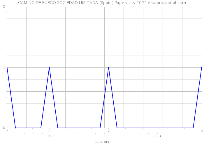 CAMINO DE FUEGO SOCIEDAD LIMITADA (Spain) Page visits 2024 