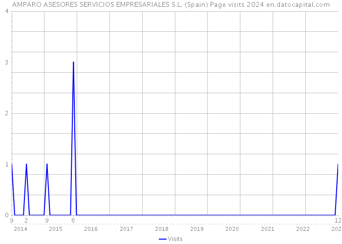 AMPARO ASESORES SERVICIOS EMPRESARIALES S.L. (Spain) Page visits 2024 