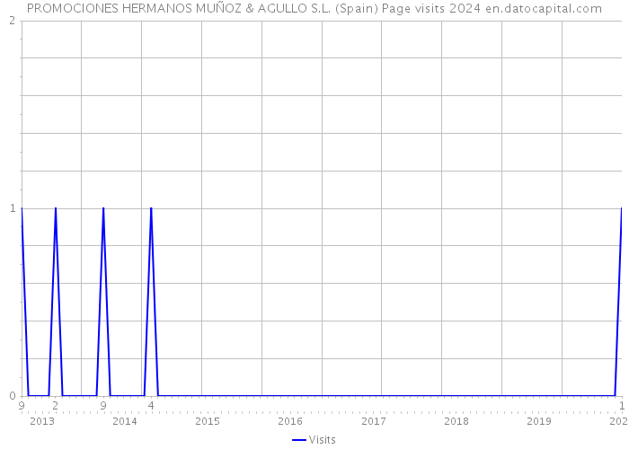 PROMOCIONES HERMANOS MUÑOZ & AGULLO S.L. (Spain) Page visits 2024 