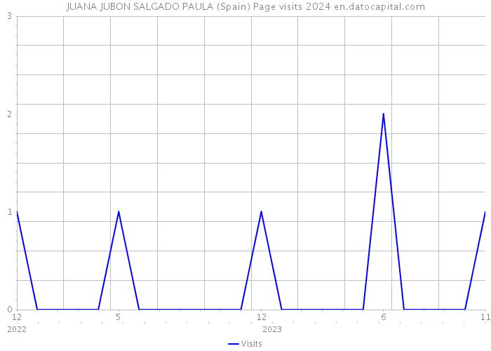 JUANA JUBON SALGADO PAULA (Spain) Page visits 2024 