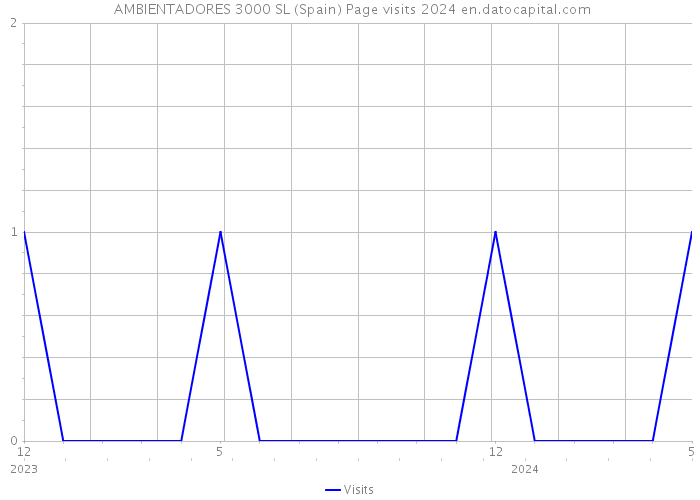  AMBIENTADORES 3000 SL (Spain) Page visits 2024 