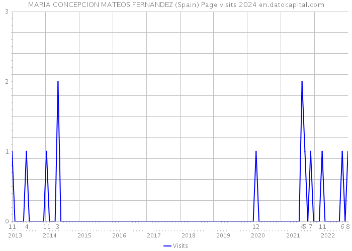 MARIA CONCEPCION MATEOS FERNANDEZ (Spain) Page visits 2024 