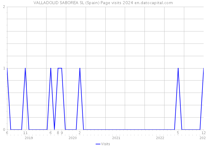VALLADOLID SABOREA SL (Spain) Page visits 2024 