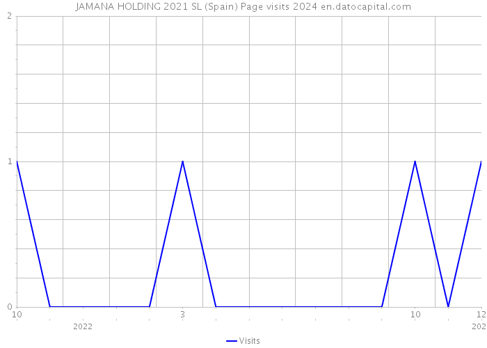 JAMANA HOLDING 2021 SL (Spain) Page visits 2024 