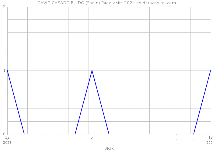 DAVID CASADO RUIDO (Spain) Page visits 2024 