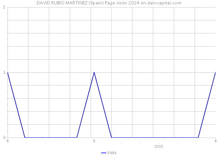 DAVID RUBIO MARTINEZ (Spain) Page visits 2024 