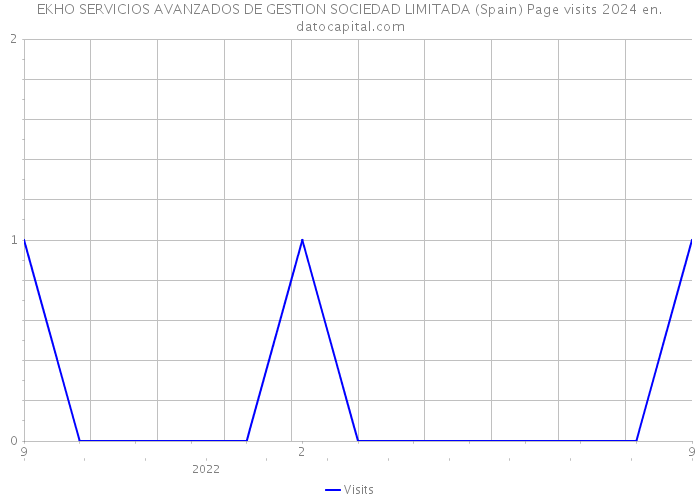 EKHO SERVICIOS AVANZADOS DE GESTION SOCIEDAD LIMITADA (Spain) Page visits 2024 