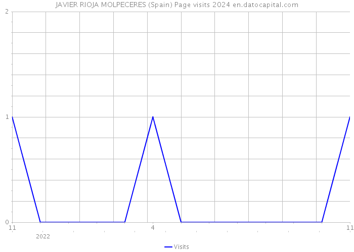 JAVIER RIOJA MOLPECERES (Spain) Page visits 2024 