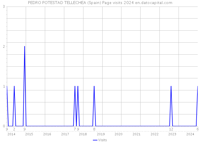 PEDRO POTESTAD TELLECHEA (Spain) Page visits 2024 